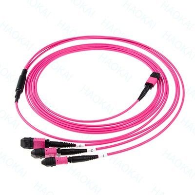 LC Fiber Optical Patch Cord 12core MPO Fan Out Om4 Kabel Fiber Patch
