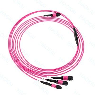 LC Fiber Optical Patch Cord 12core MPO Fan Out Om4 Kabel Fiber Patch